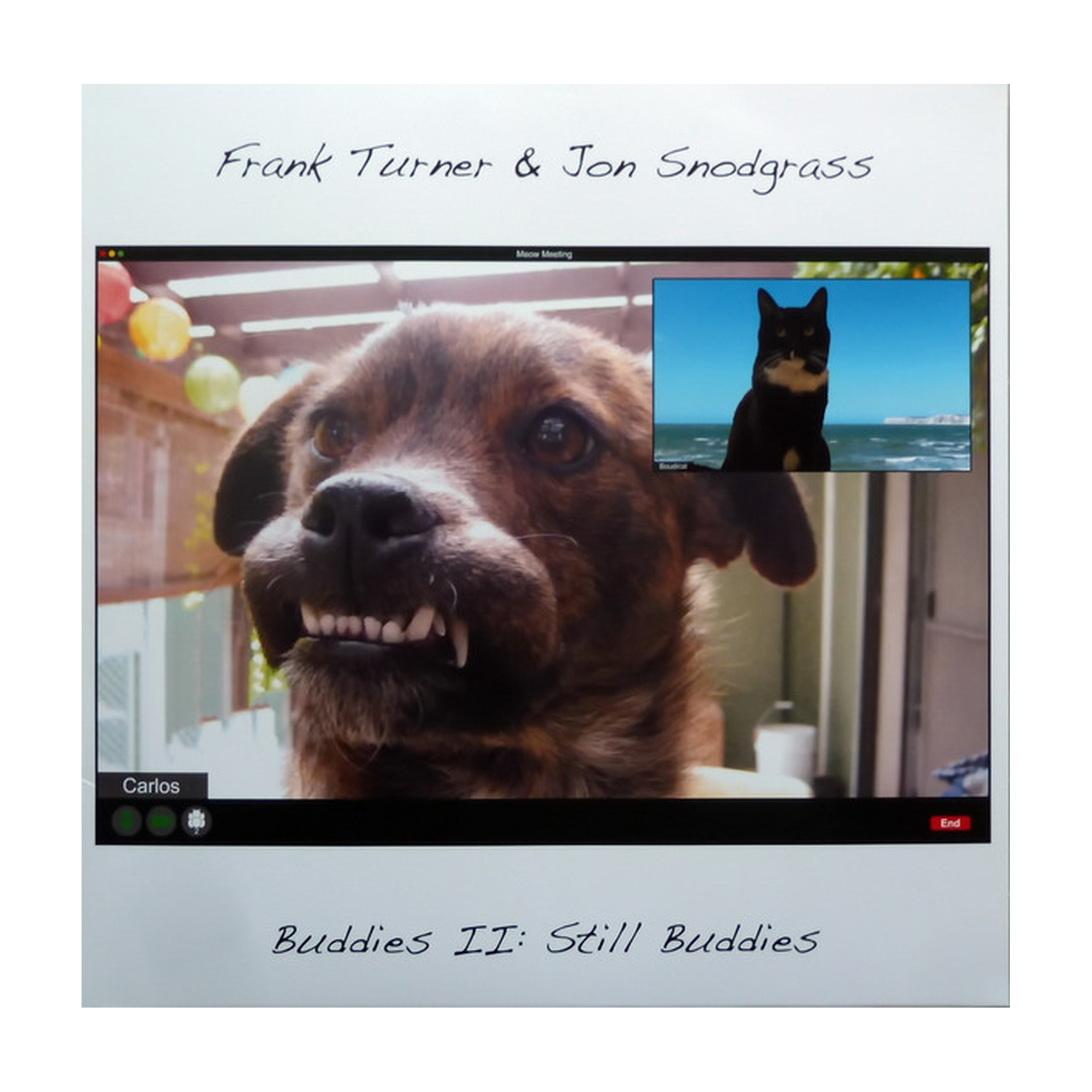 Frank Turner / Jon Snodgrass - Buddies II: Still Buddies
