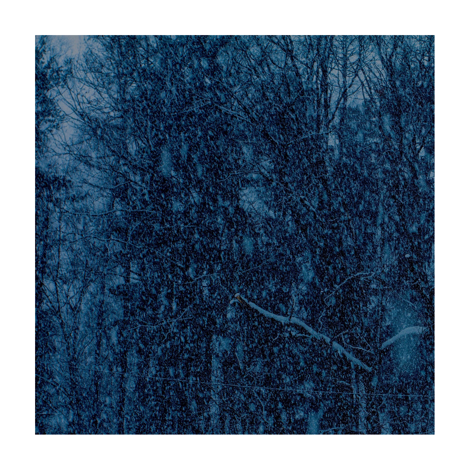 Jesu - Never