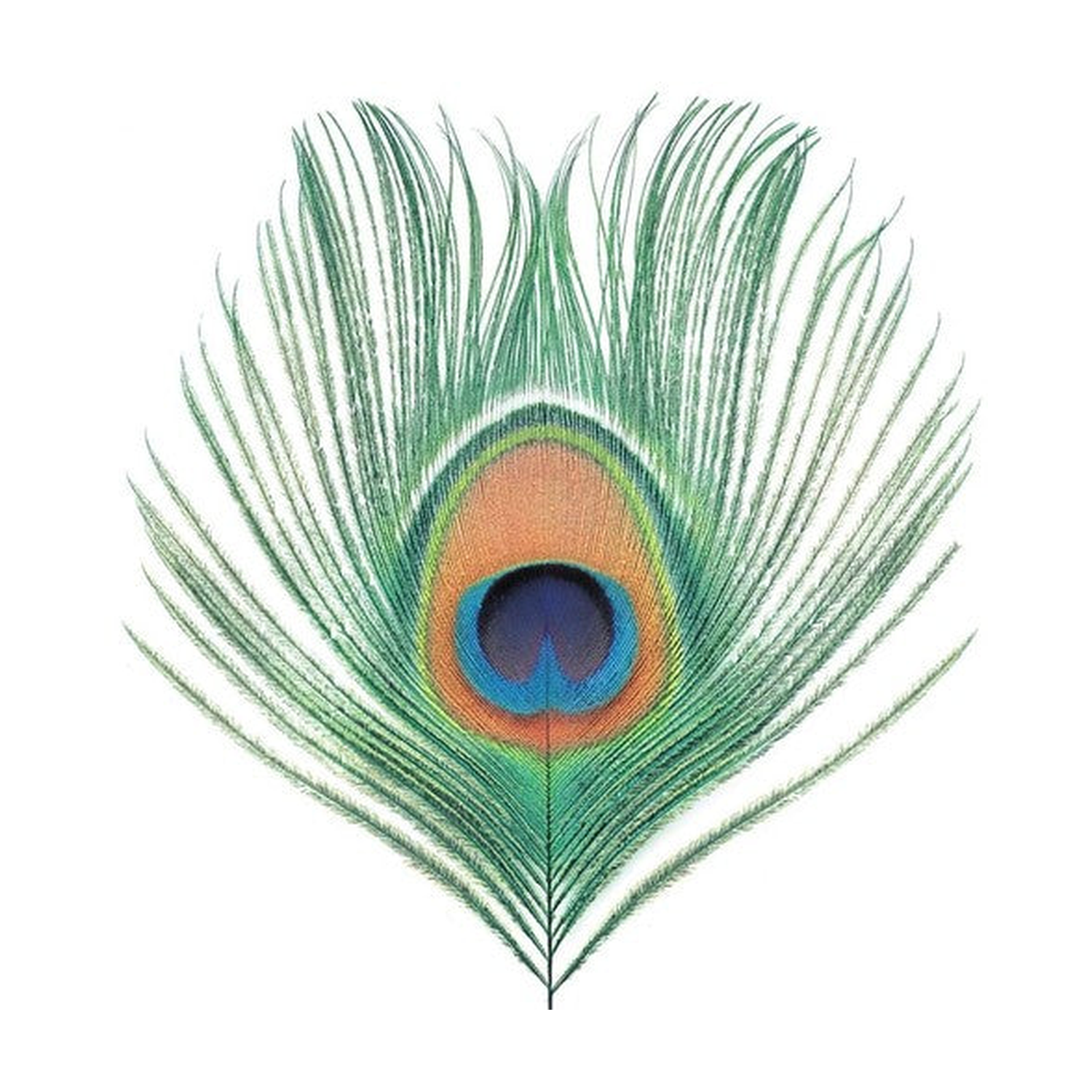 XTC - Apple Venus Vol 1