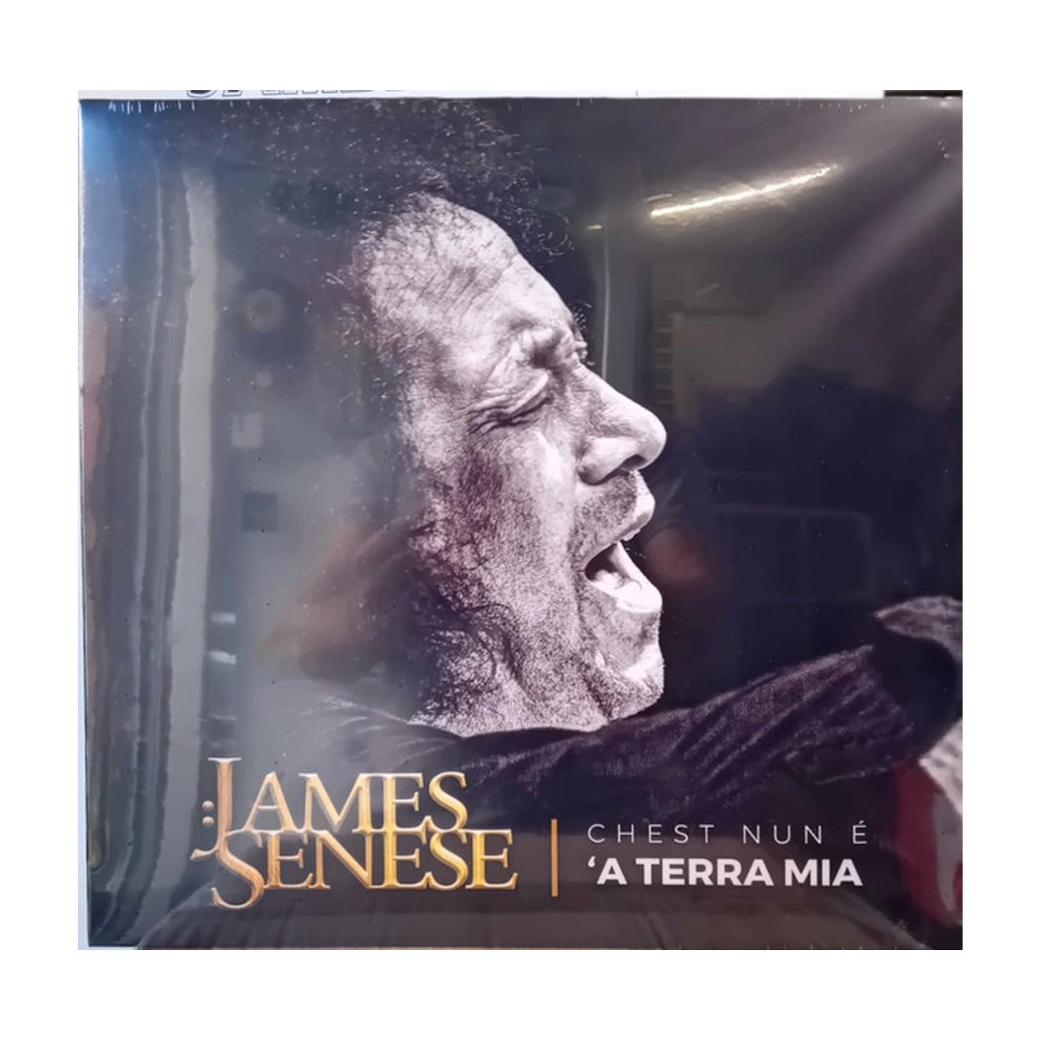 James Senese - Chest Nun A A Terra Mia