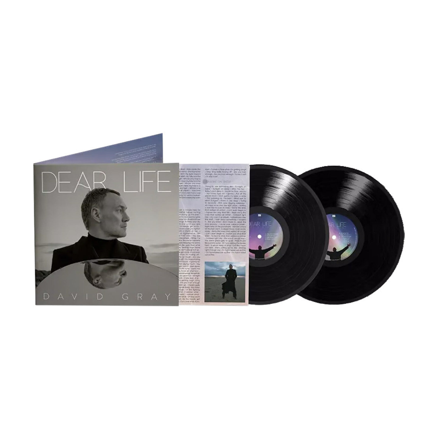 David Gray - Dear Life