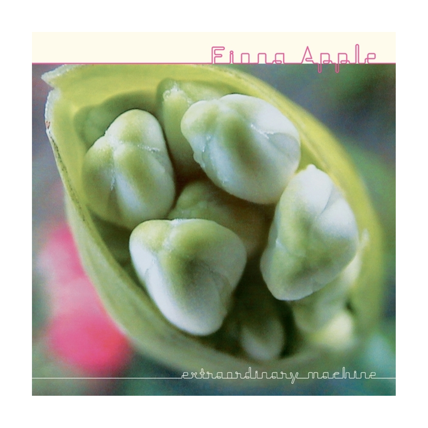 Fiona Apple - Extraordinary Machine