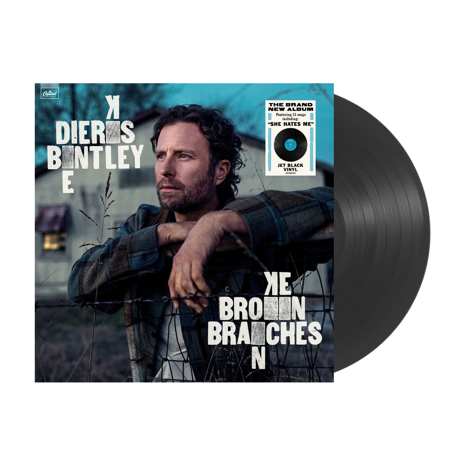 Dierks Bentley - Broken Branches