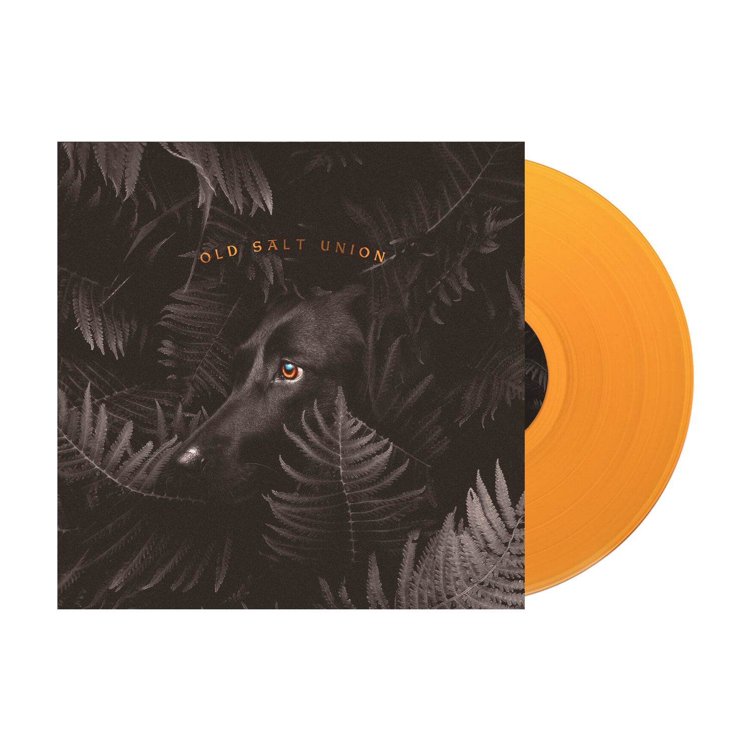 Old Salt Union - Where The Dogs Don't Bite (Orange Vinyl)