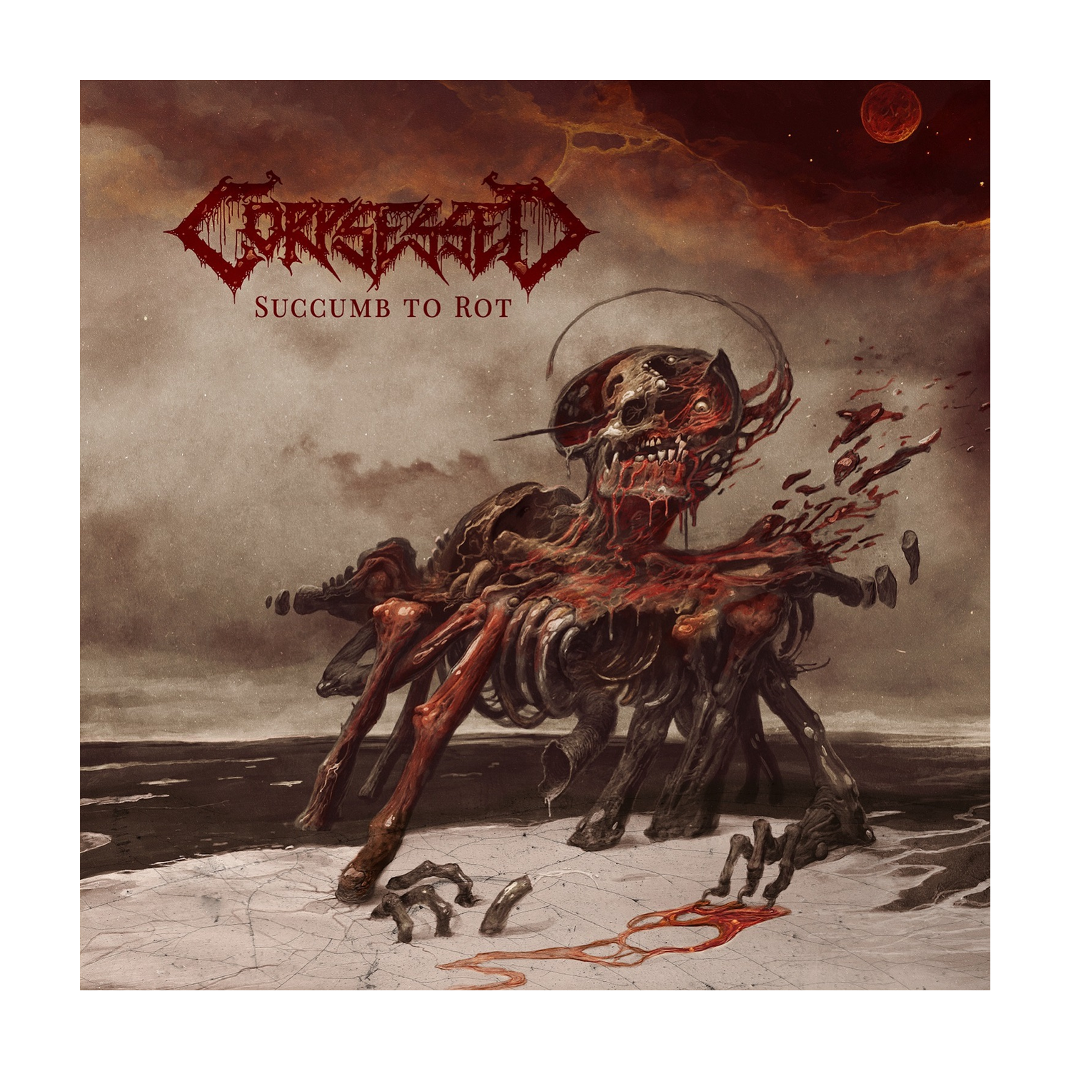 Corpsessed - Succumb To Rot