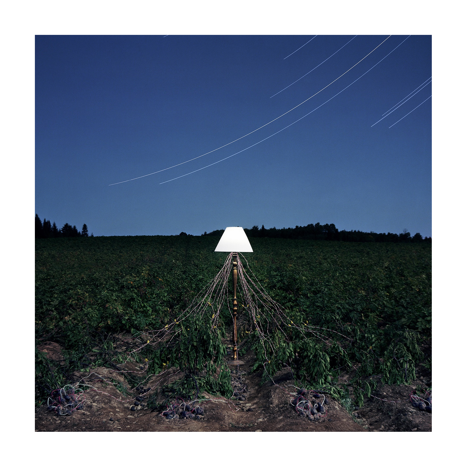 Beacon - Escapements