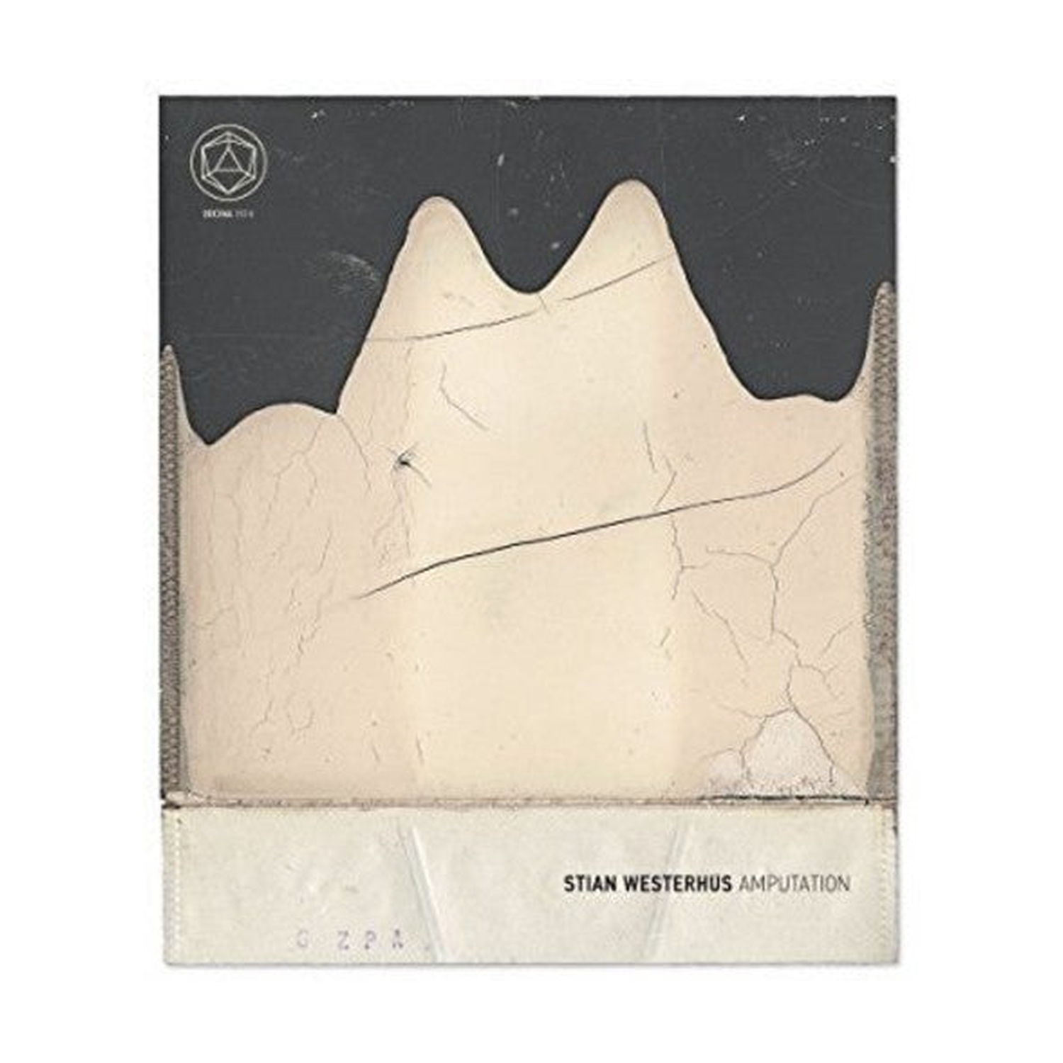 Stian Westerhus - Amputation