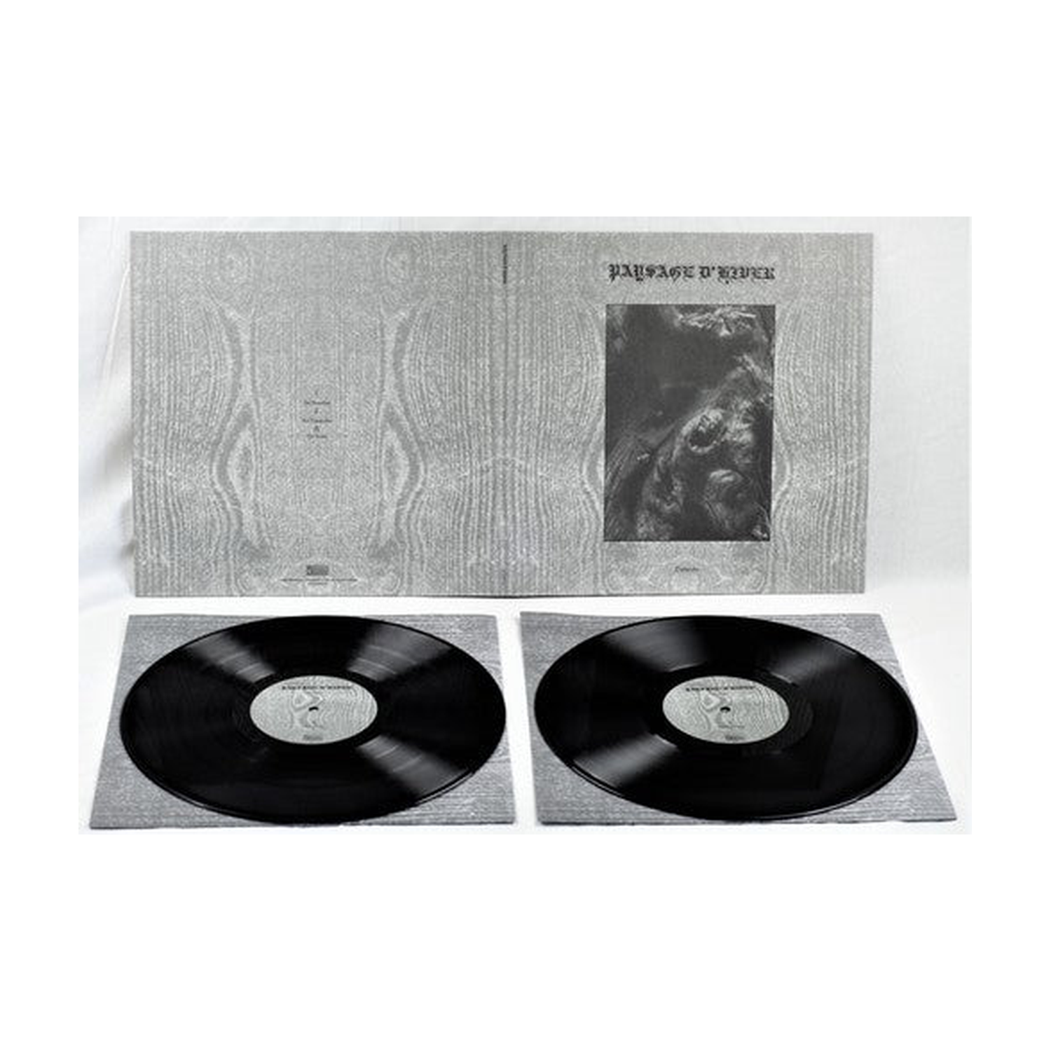 Paysage D'Hiver - Steineiche 2xLP