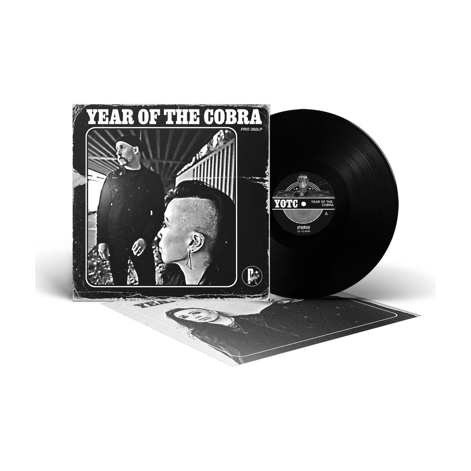Year of the Cobra
