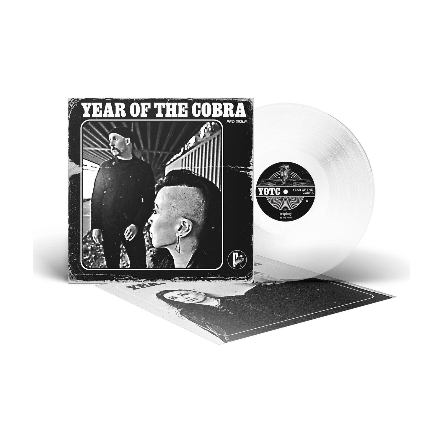 Year of the Cobra