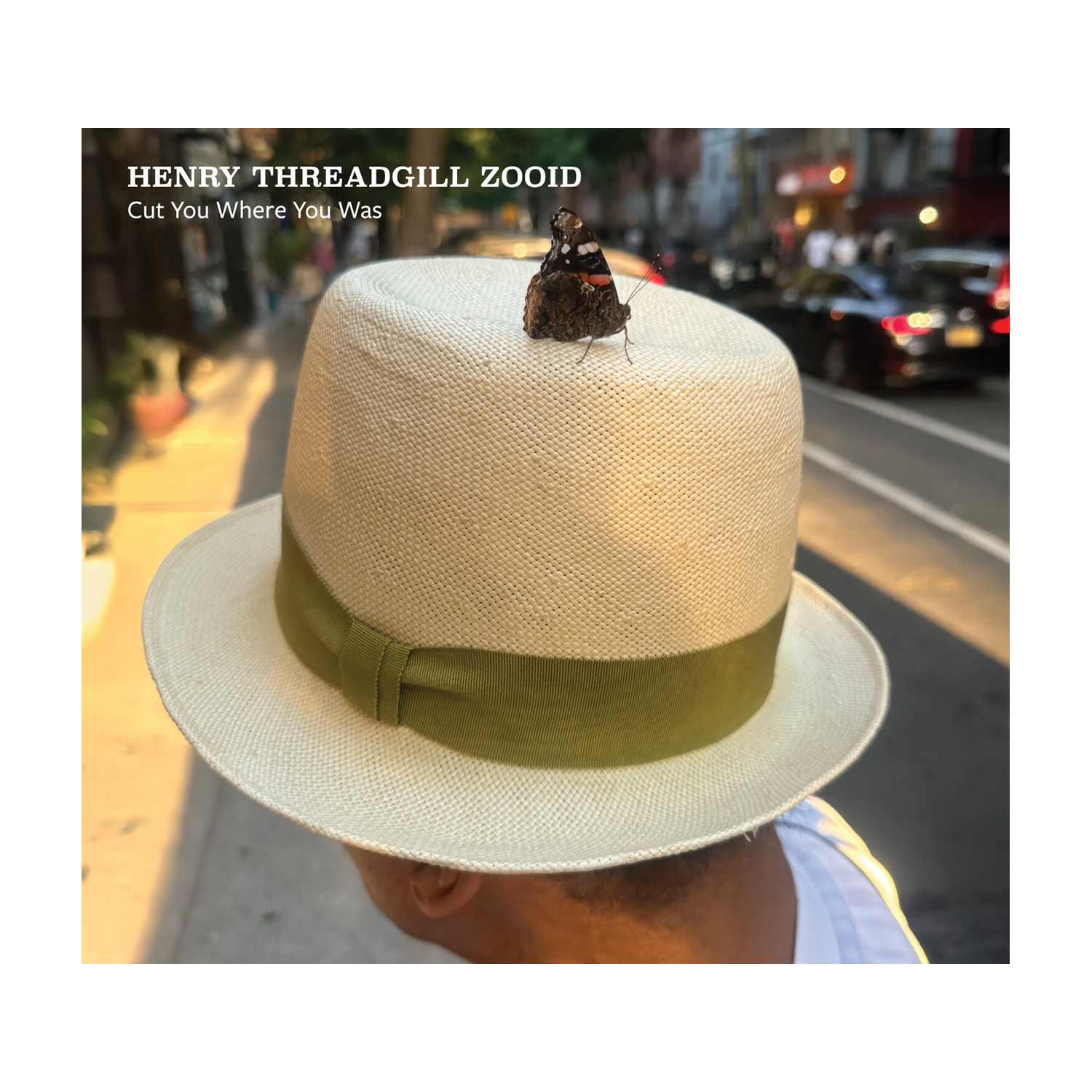 Henry Threadgill Zooid - Cut You Where You Was