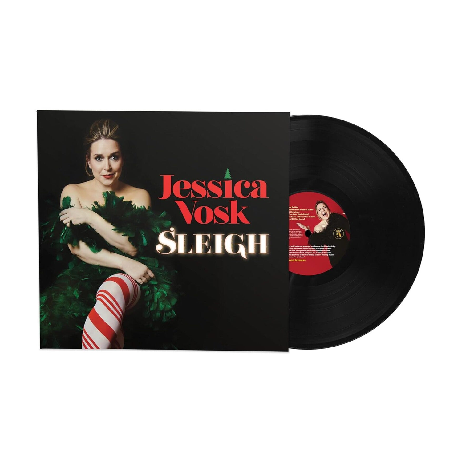 Jessica Vosk - Sleigh