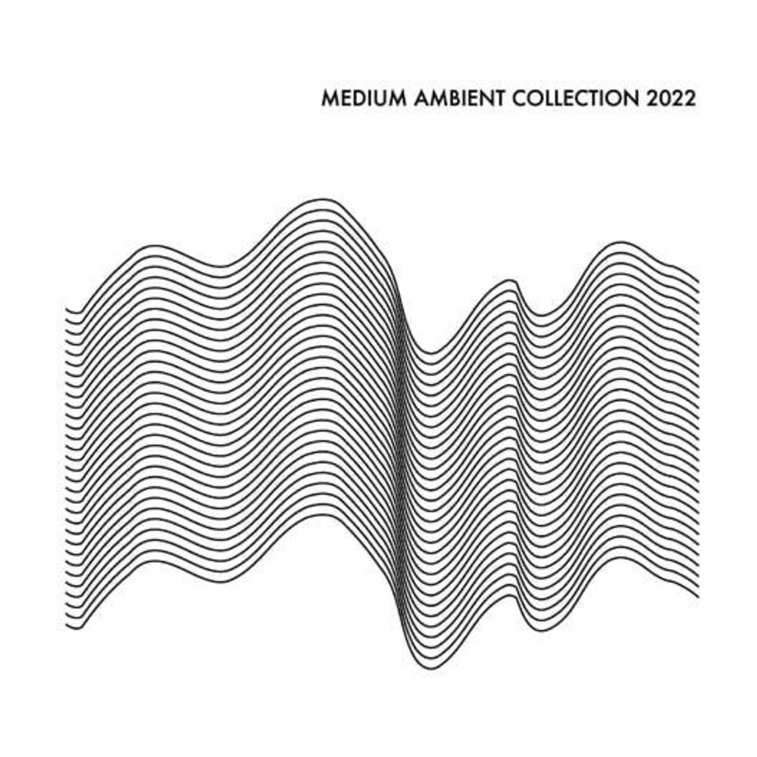 Various Artists - Medium Ambient Collection 2022 White 2xLP