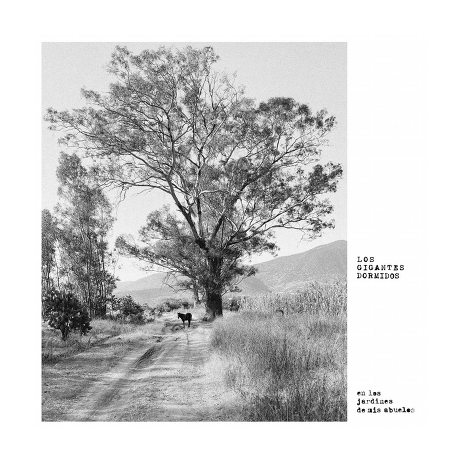 Gigantes Dormidos - Los Jardines De Mis Abuelos