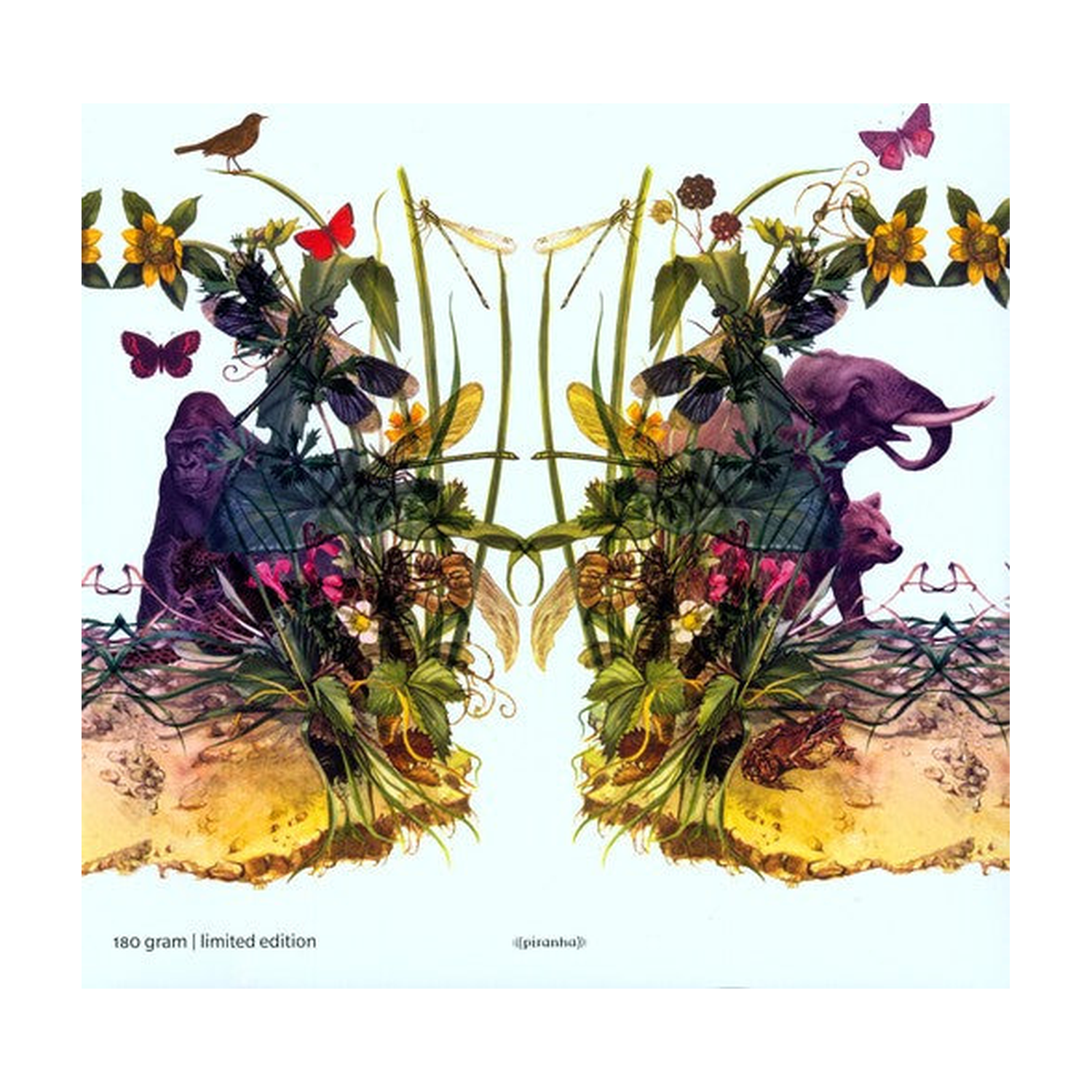 Dunkelbunt - Raindrops & Elephants