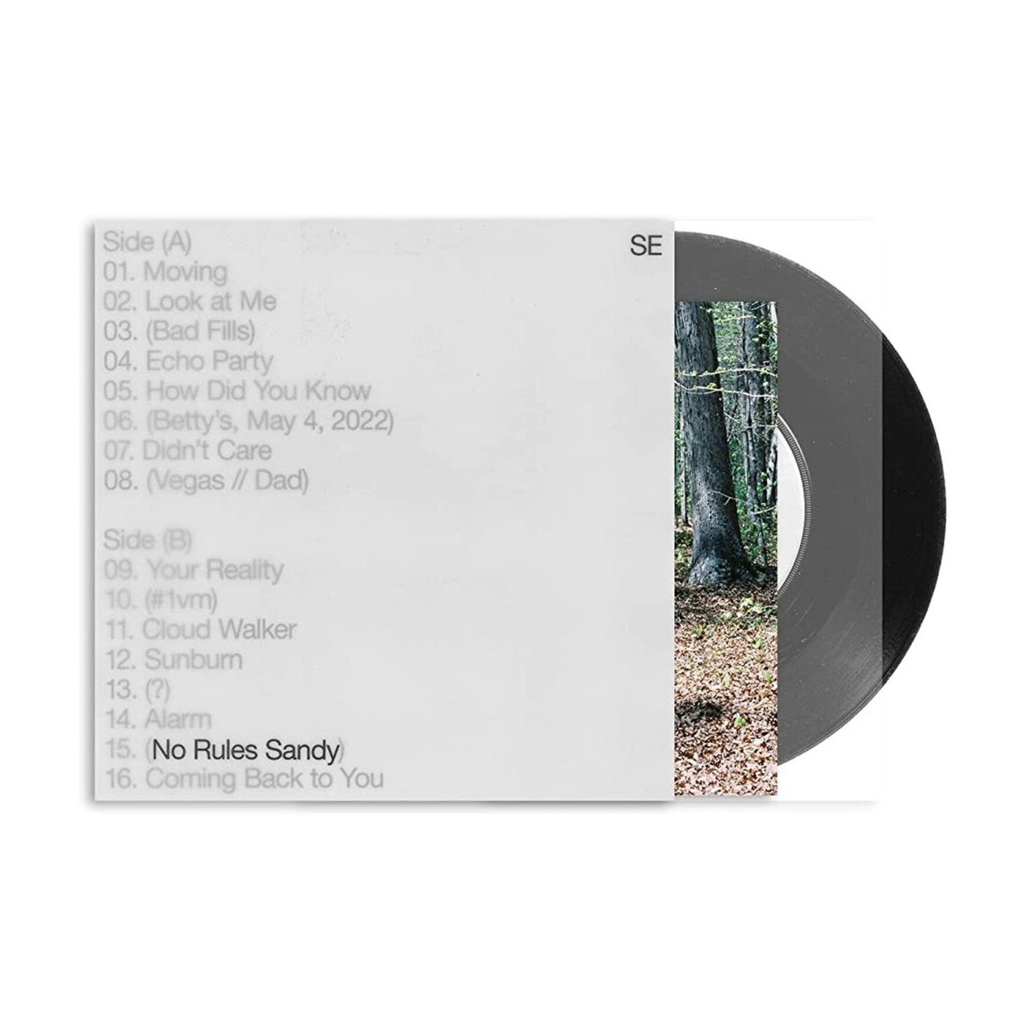 Sylvan Esso - No Rules Sandy
