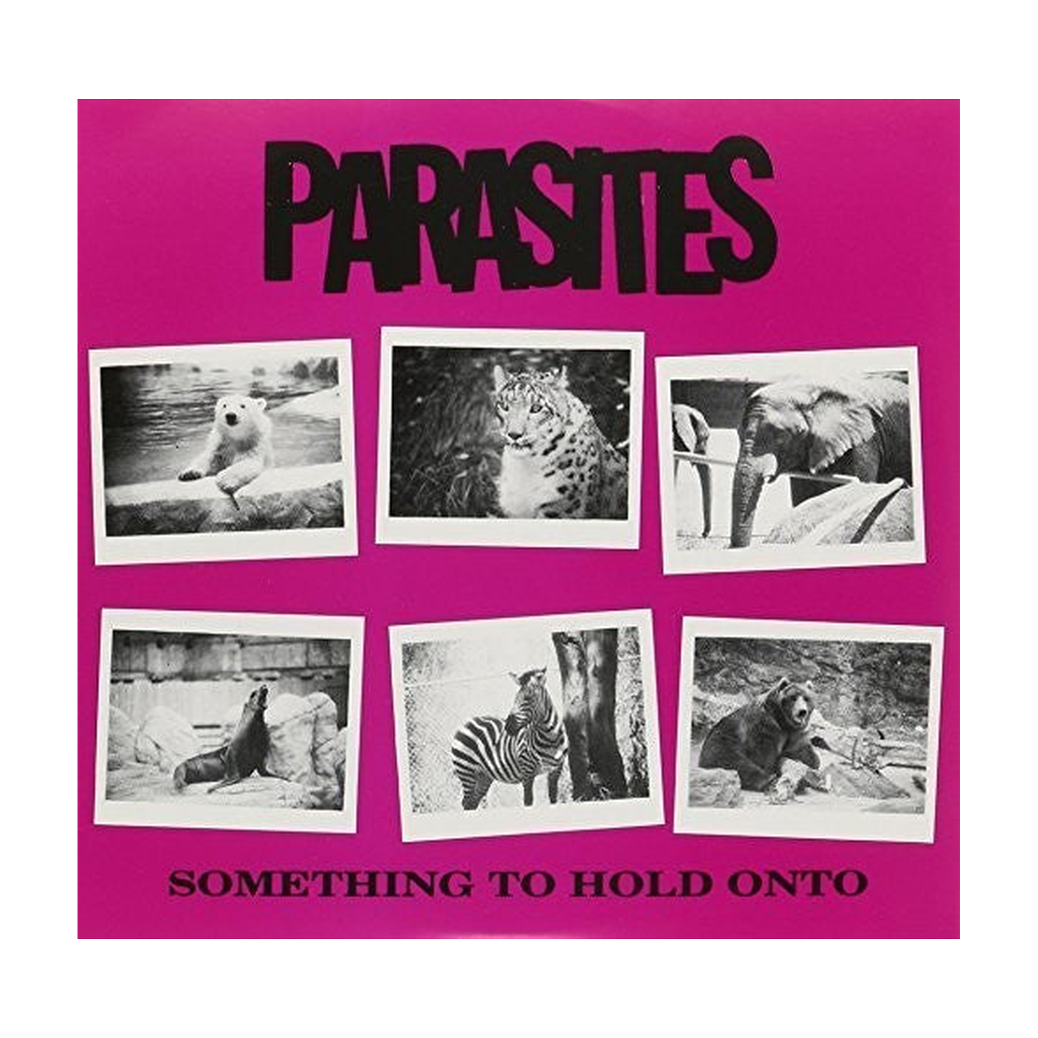 Parasites - Something to Hold Onto