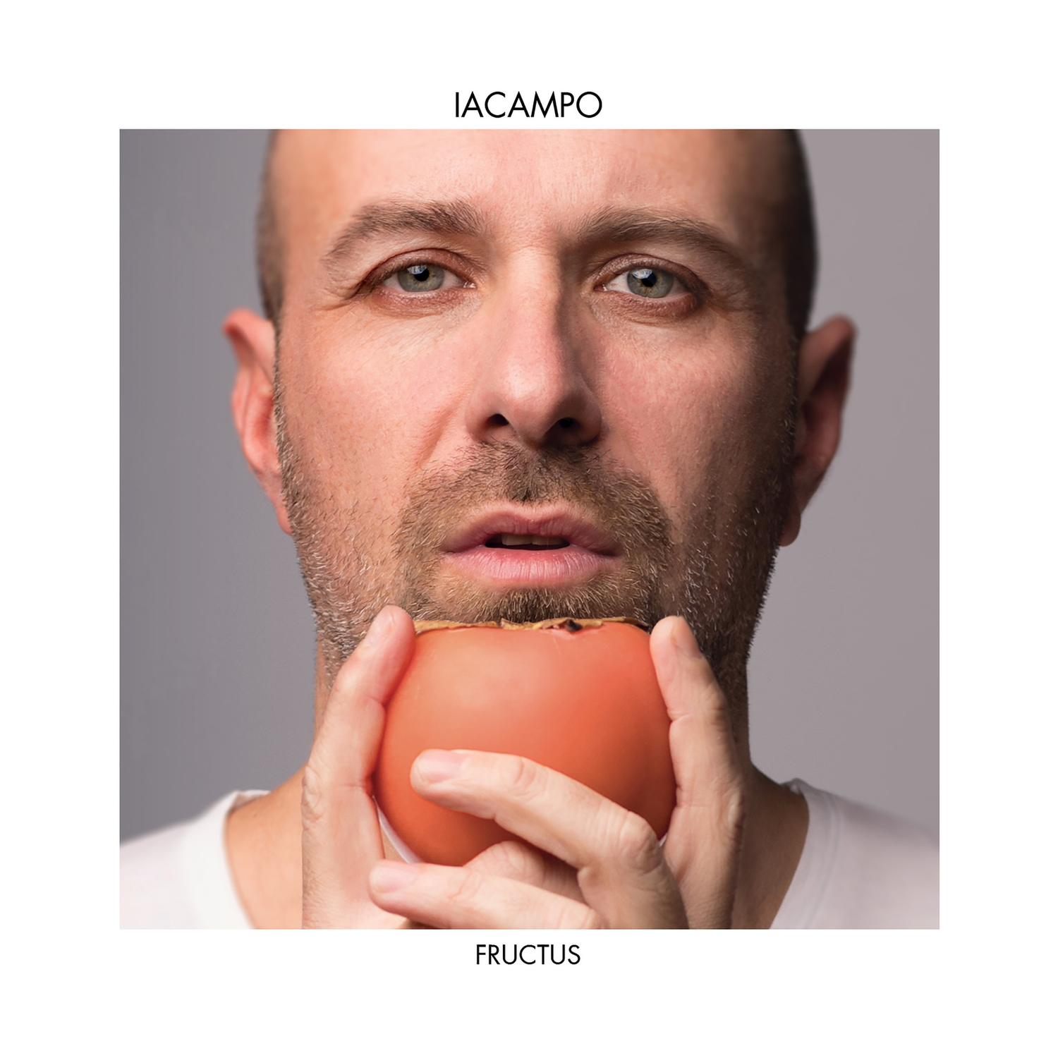 Iacampo - Fructus