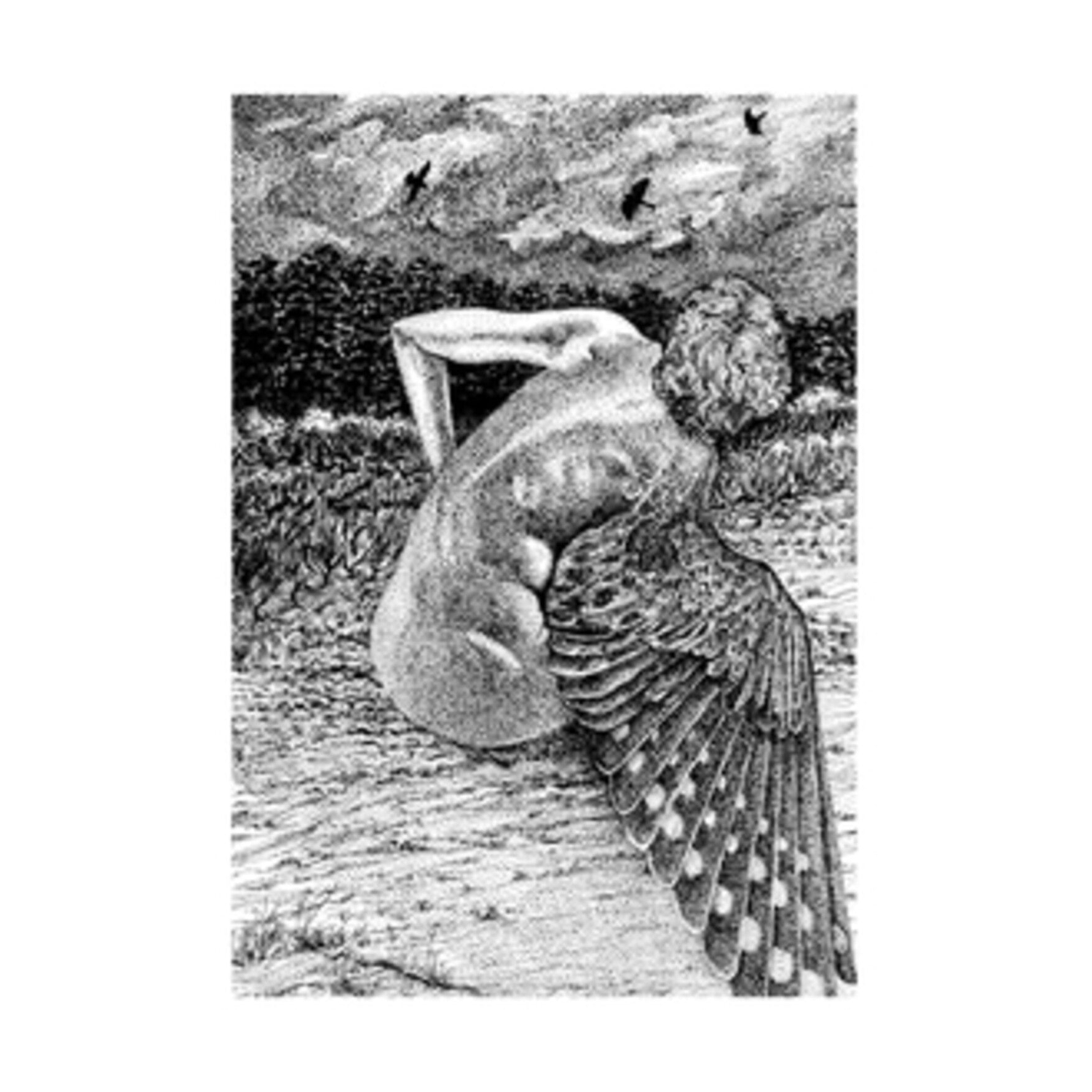 Patrick Lysaght - For The Birds