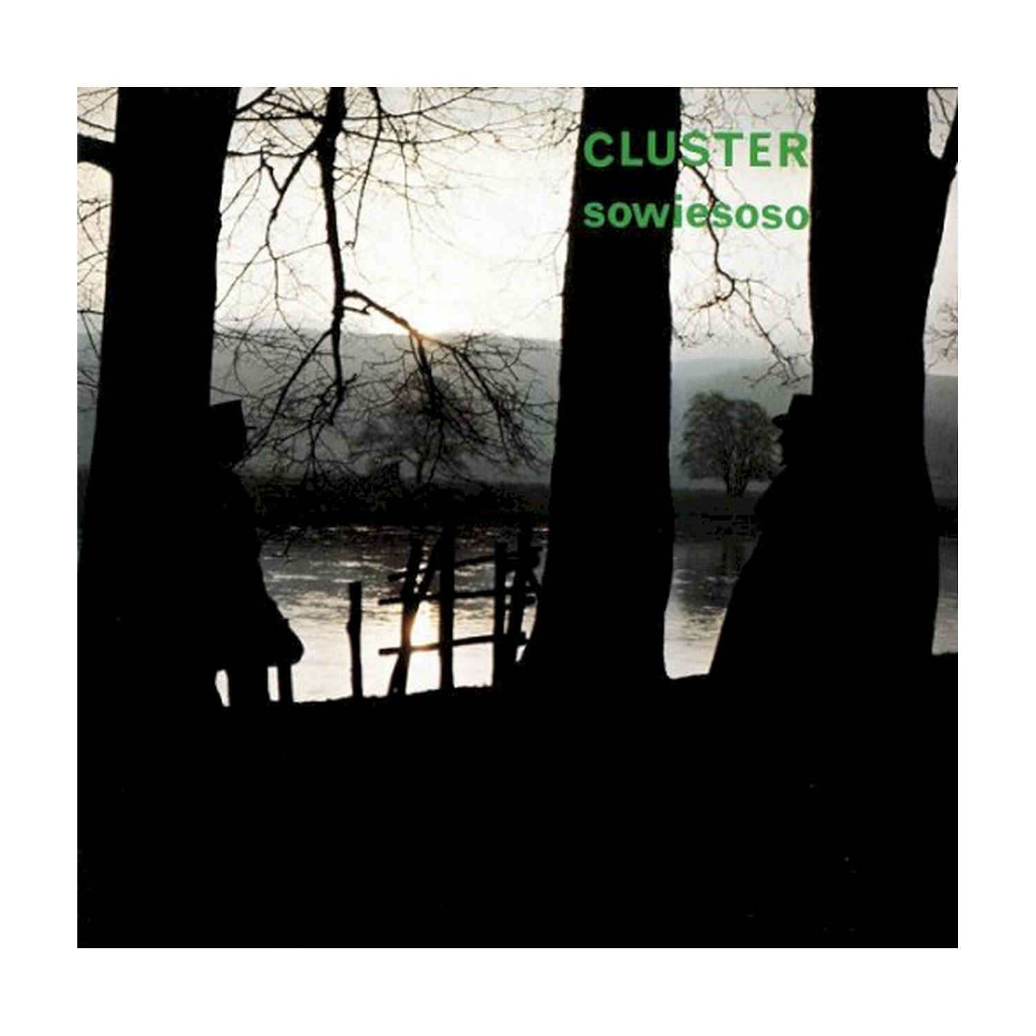 Cluster - Sowiesoso