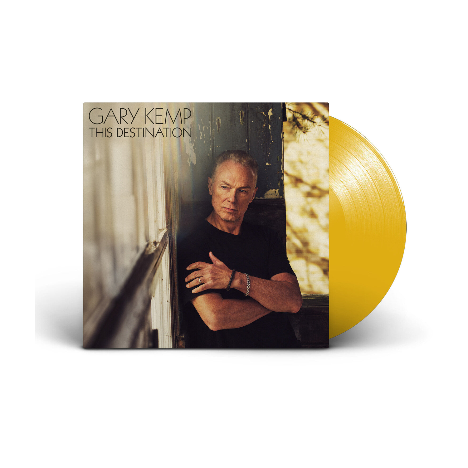 Gary Kemp - This Destination
