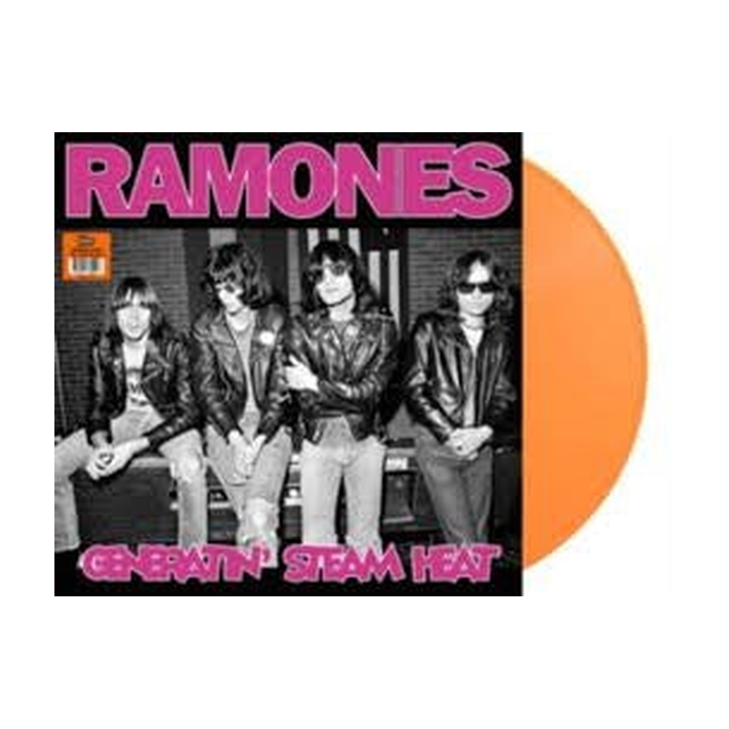 The Ramones - Generatin' Steam Heat: Live in Germany 1978 — vinyl LP album cover