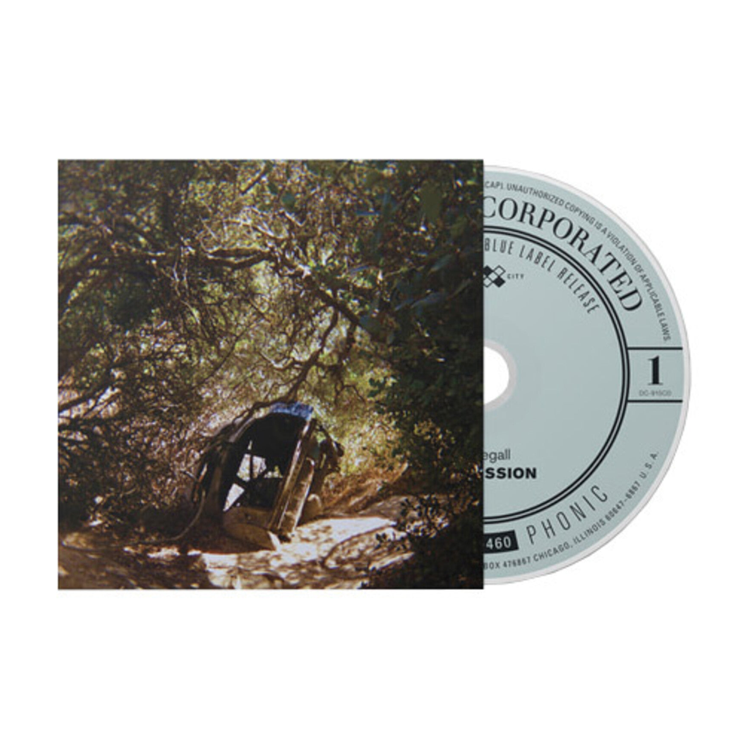 Ty Segall - Possession (CD) — CD album cover