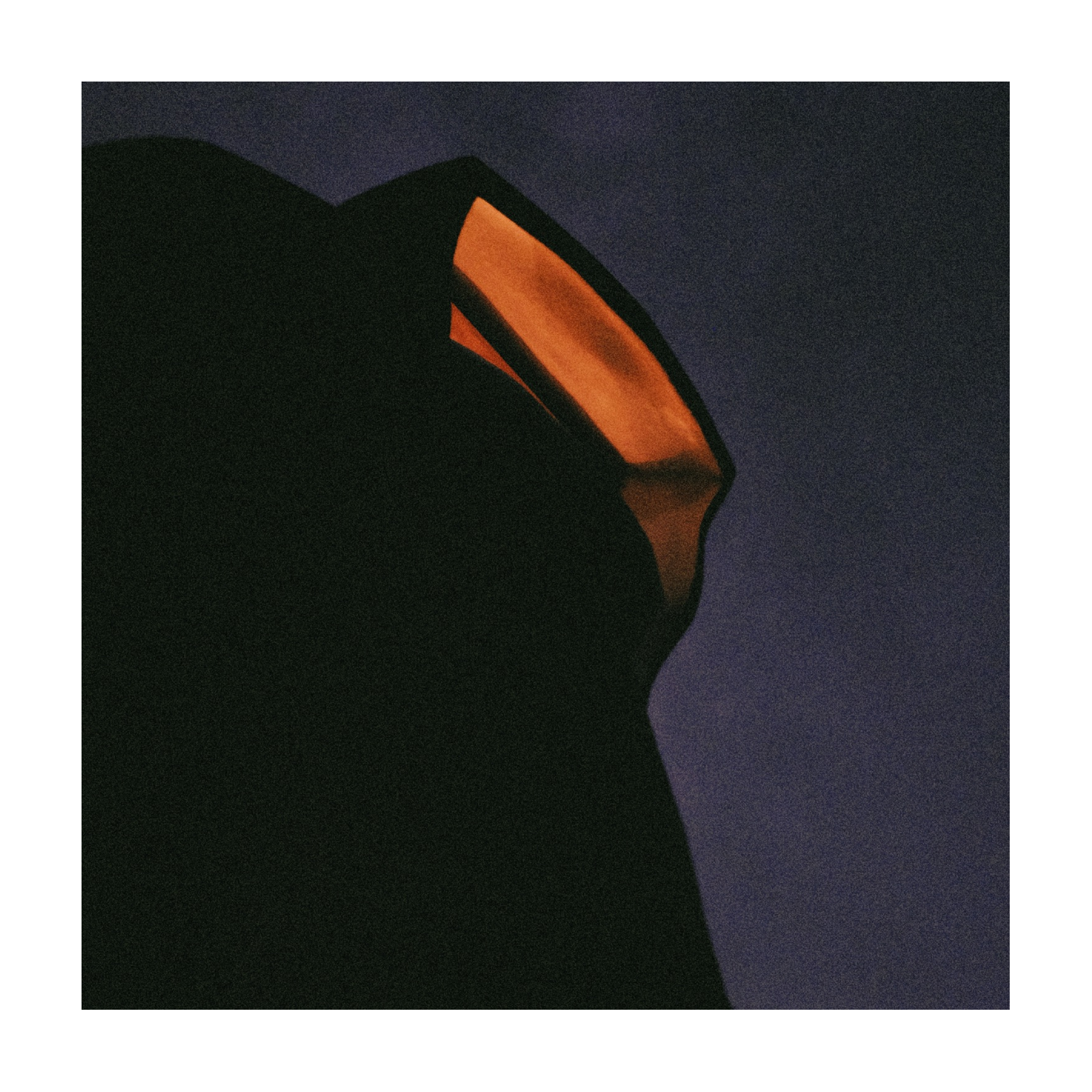 Diles Que No Me Maten - Obrigaggi — vinyl LP album cover