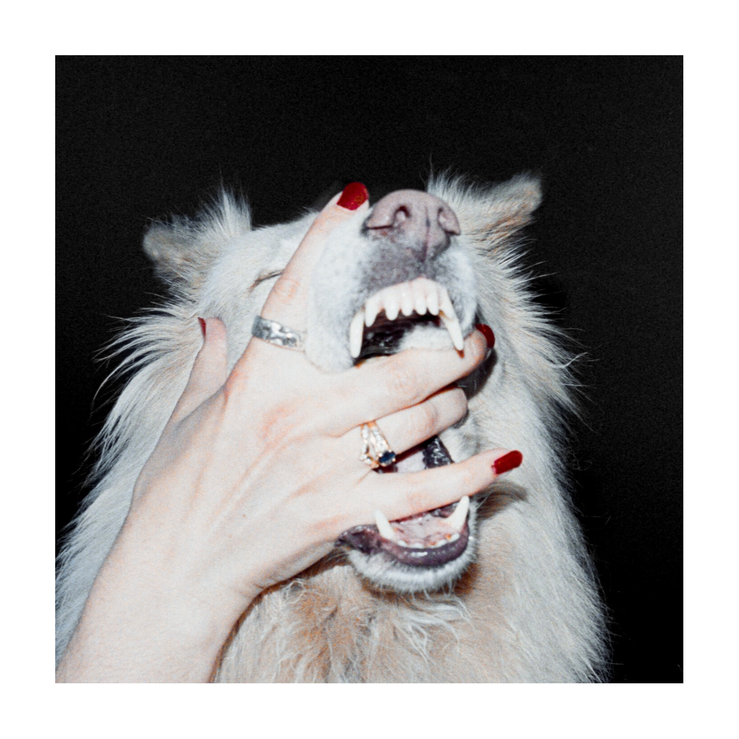 Porch Light - Hush — vinyl LP album cover