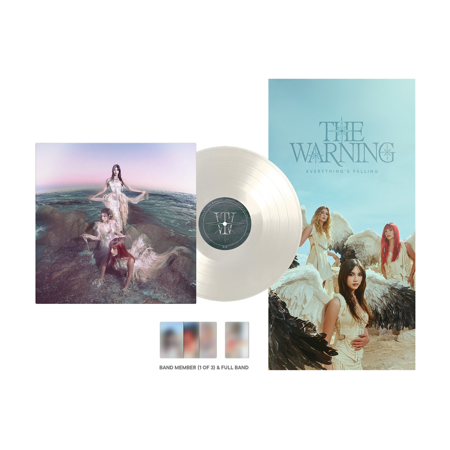 Warning - Everything's Falling — vinyl LP album cover