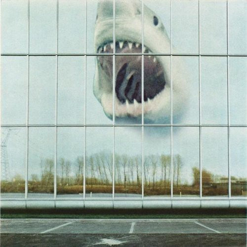Black Mountain - Wilderness Heart (CD)