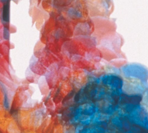 Dungen - Skit I Allt (CD)