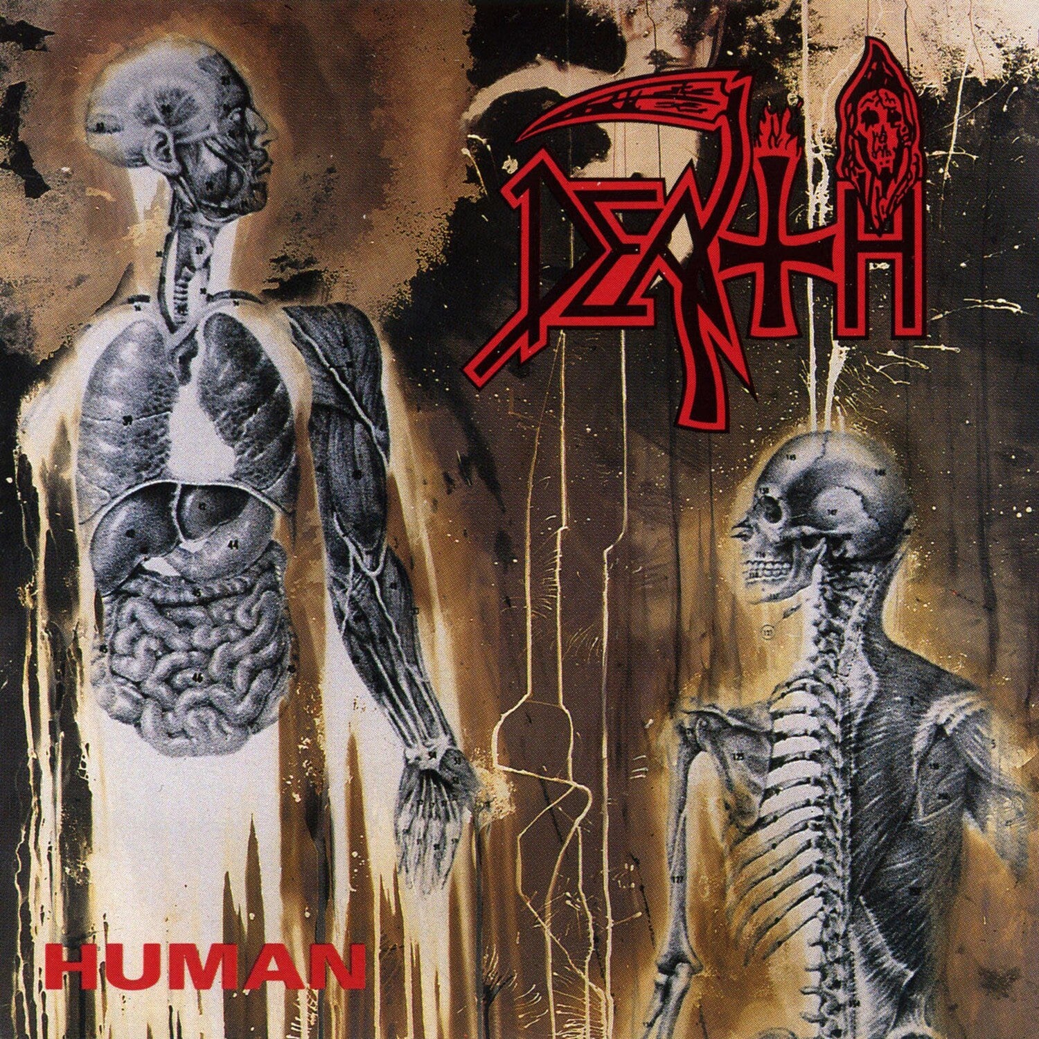 Death - Human (Reissue) (CD)