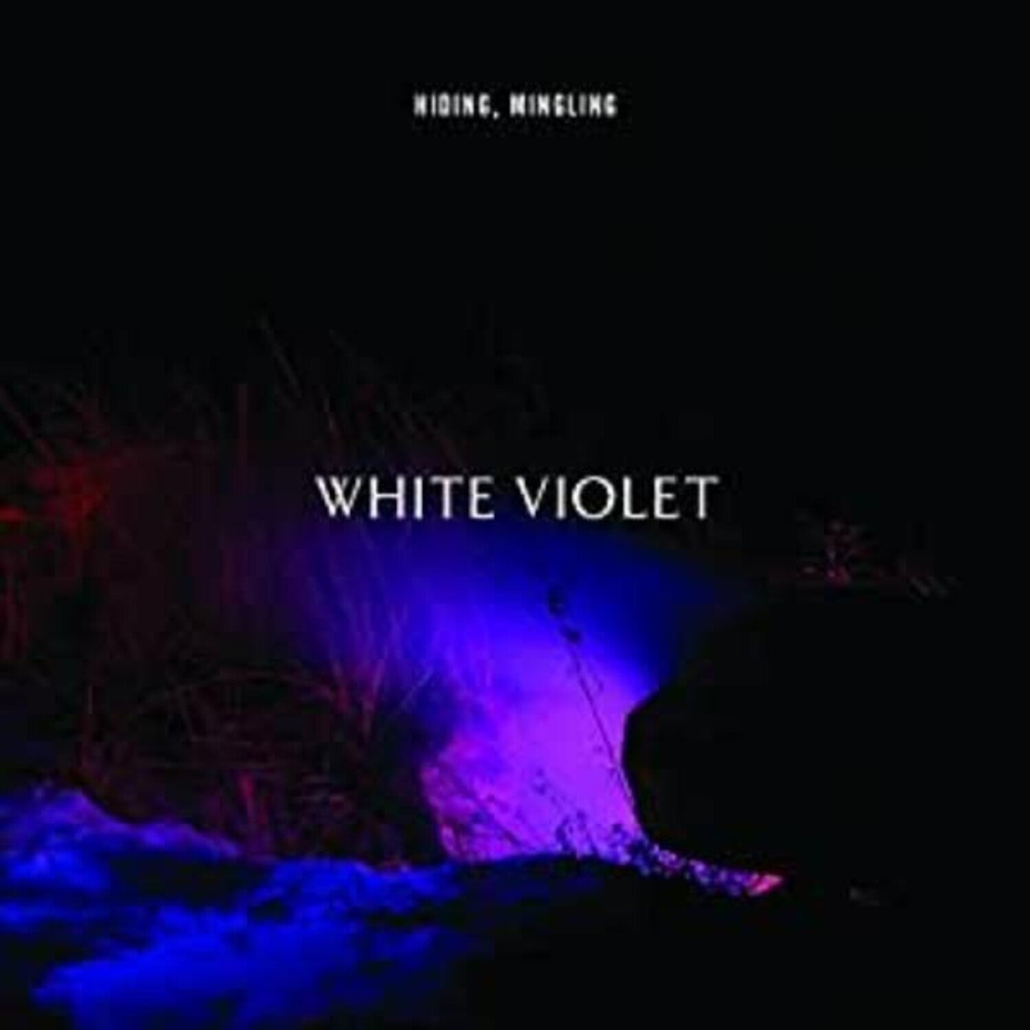 White Violet - Hiding, Mingling