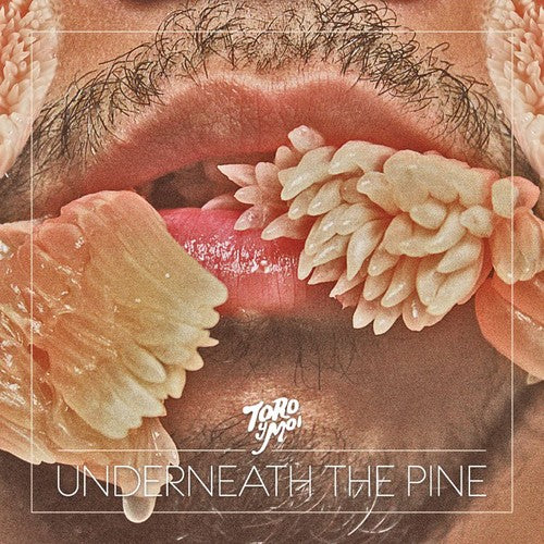 Toro y Moi - Underneath the Pine (CD)