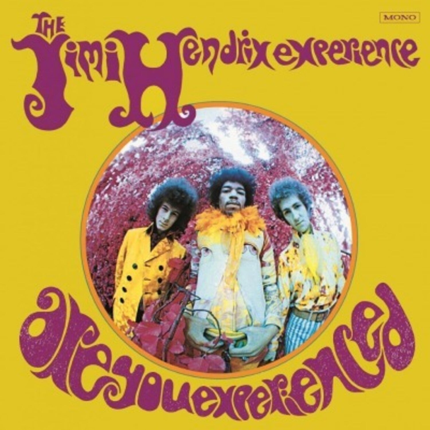 Jimi Hendrix - Are You Experienced (US Sleeve) — vinyl LP album cover