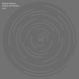 Adrian Utley - In C 2xLP