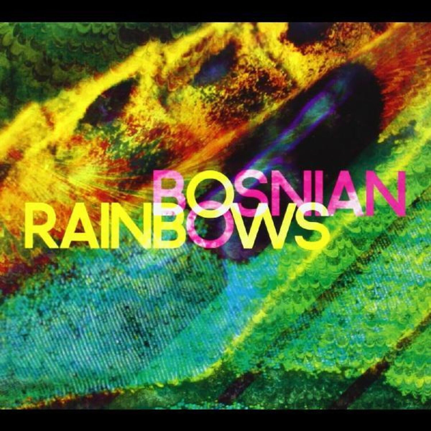 Bosnian Rainbows (CD)