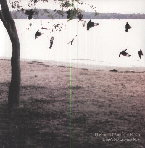 Tallest Man on Earth - There's No Leaving Now