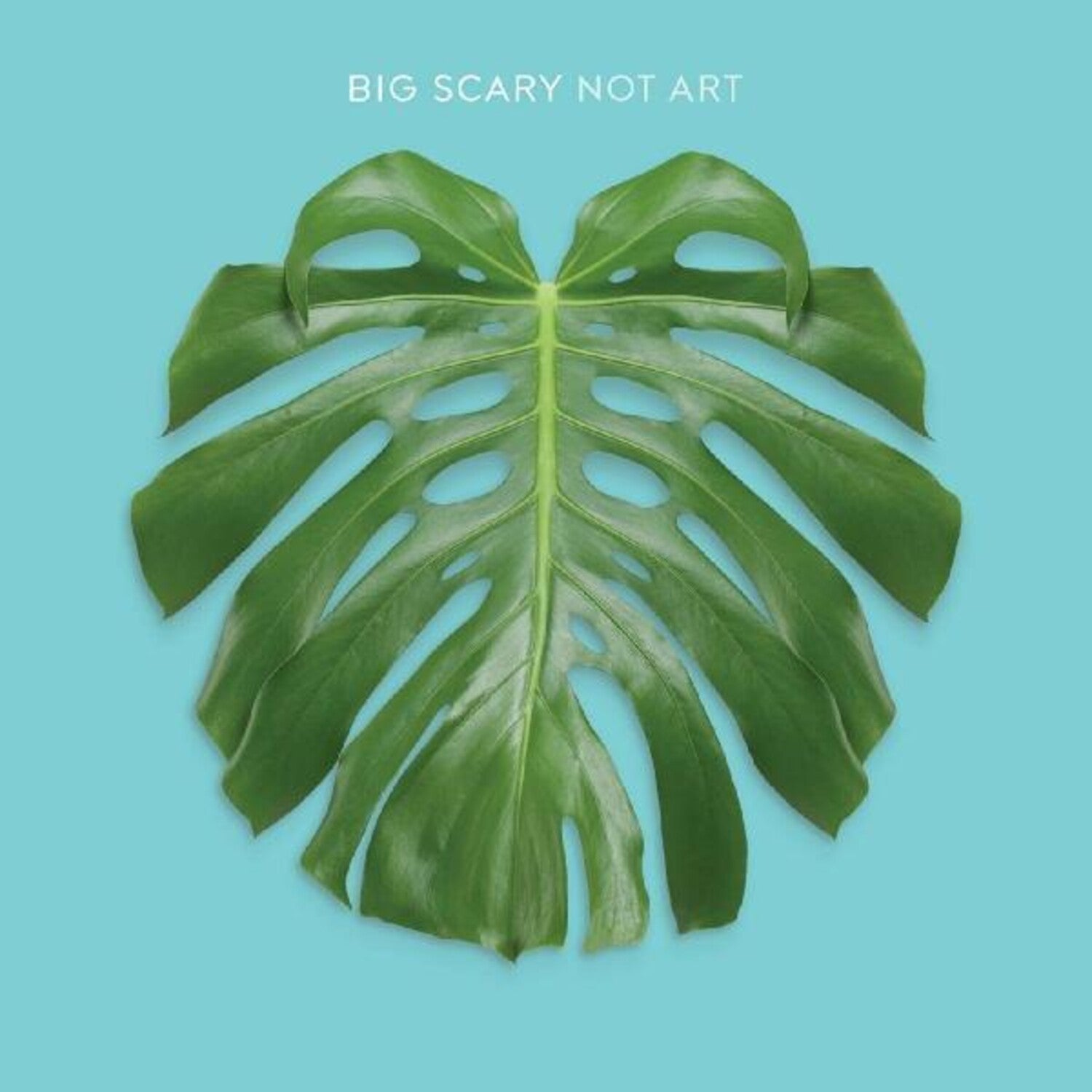 Big Scary - Not Art (CD)