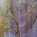 Akron/Family - Sub Verses (CD)