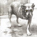 Alice in Chains (CD)