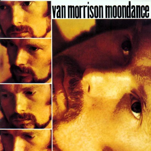 Van Morrison - Moondance (Remastered)