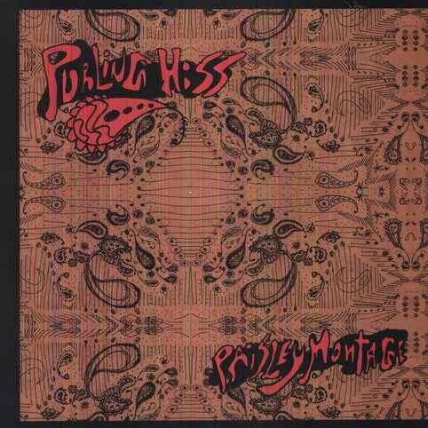 Purling Hiss - Paisley Montage