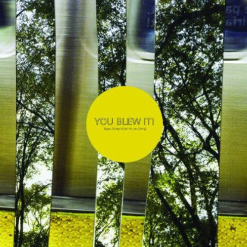 You Blew It - Keep Doing What You're Doing (CD)