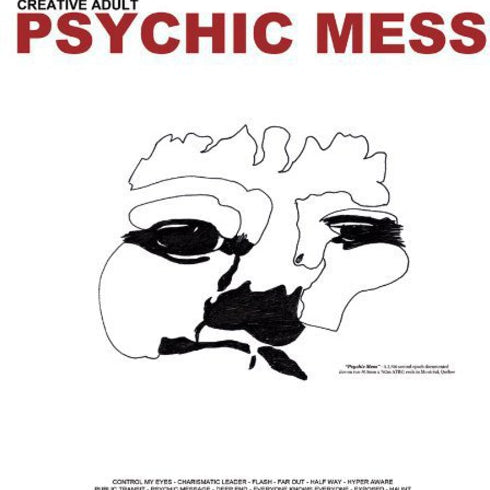 Creative Adult - Psychic Mess