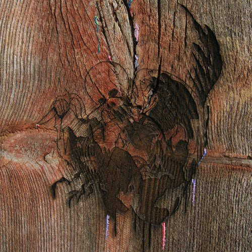 Avey Tare's Slasher Flicks - Enter the Slasher House 2xLP