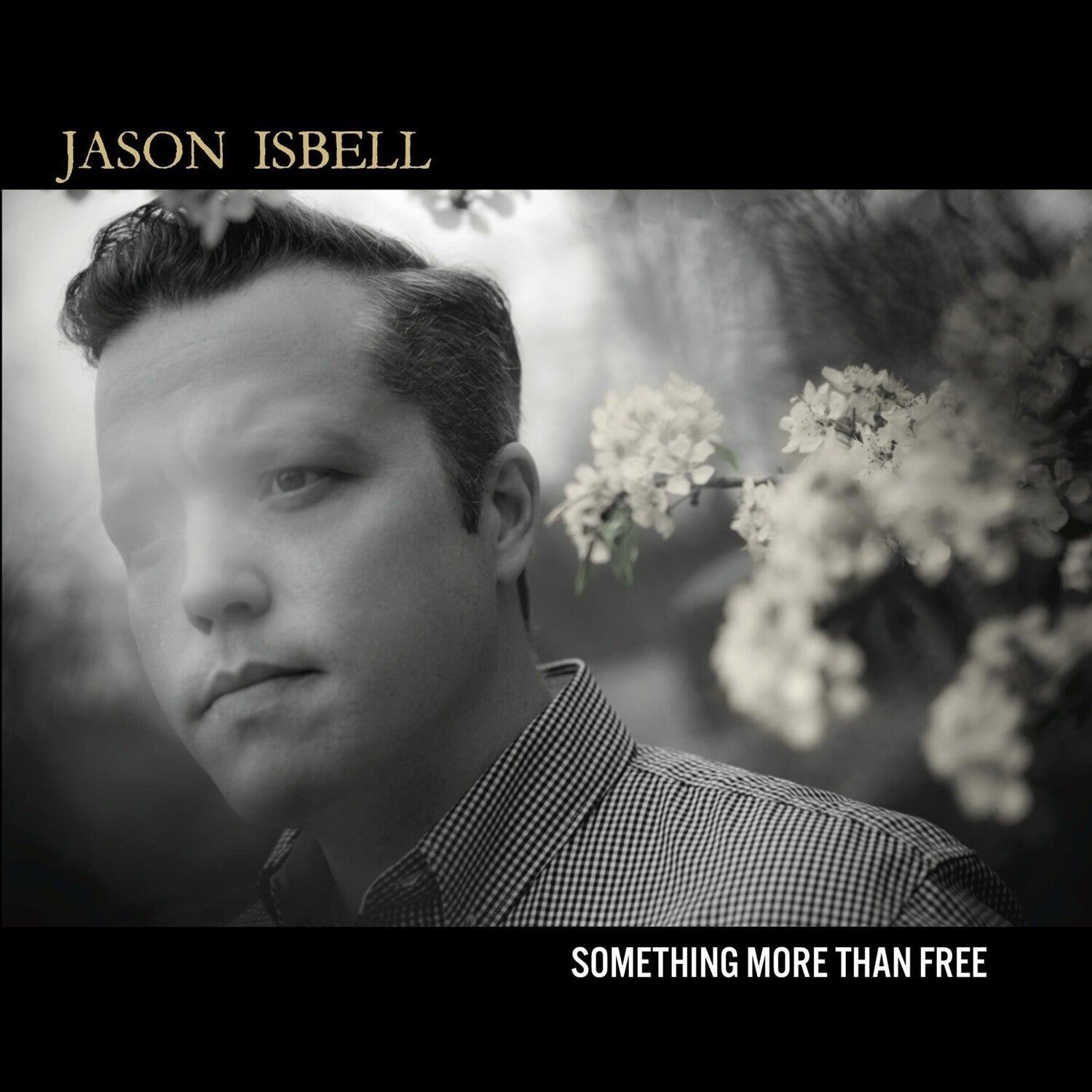 Jason Isbell - Something More Than Free 2xLP (Deluxe)