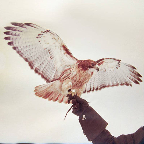 Jm Airis - Wild Birds 2xLP