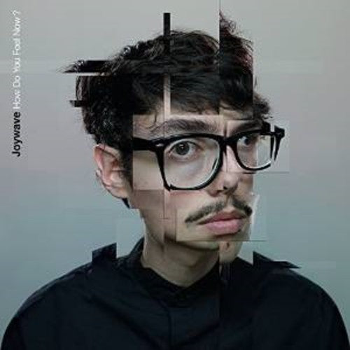 Joywave - How Do You Feel Now (CD)